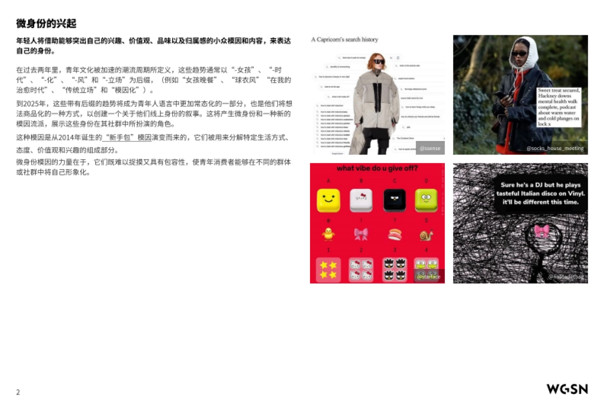 WGSN：2025青年文化报告_第3页