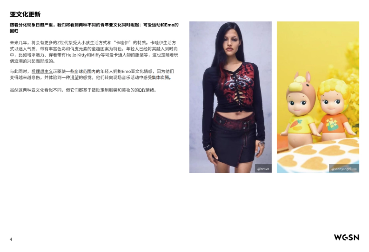 WGSN：2025青年文化报告_第5页