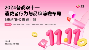 果集：【情感诉求赛道】2024备战双十一：消费者行为与品牌前瞻布局