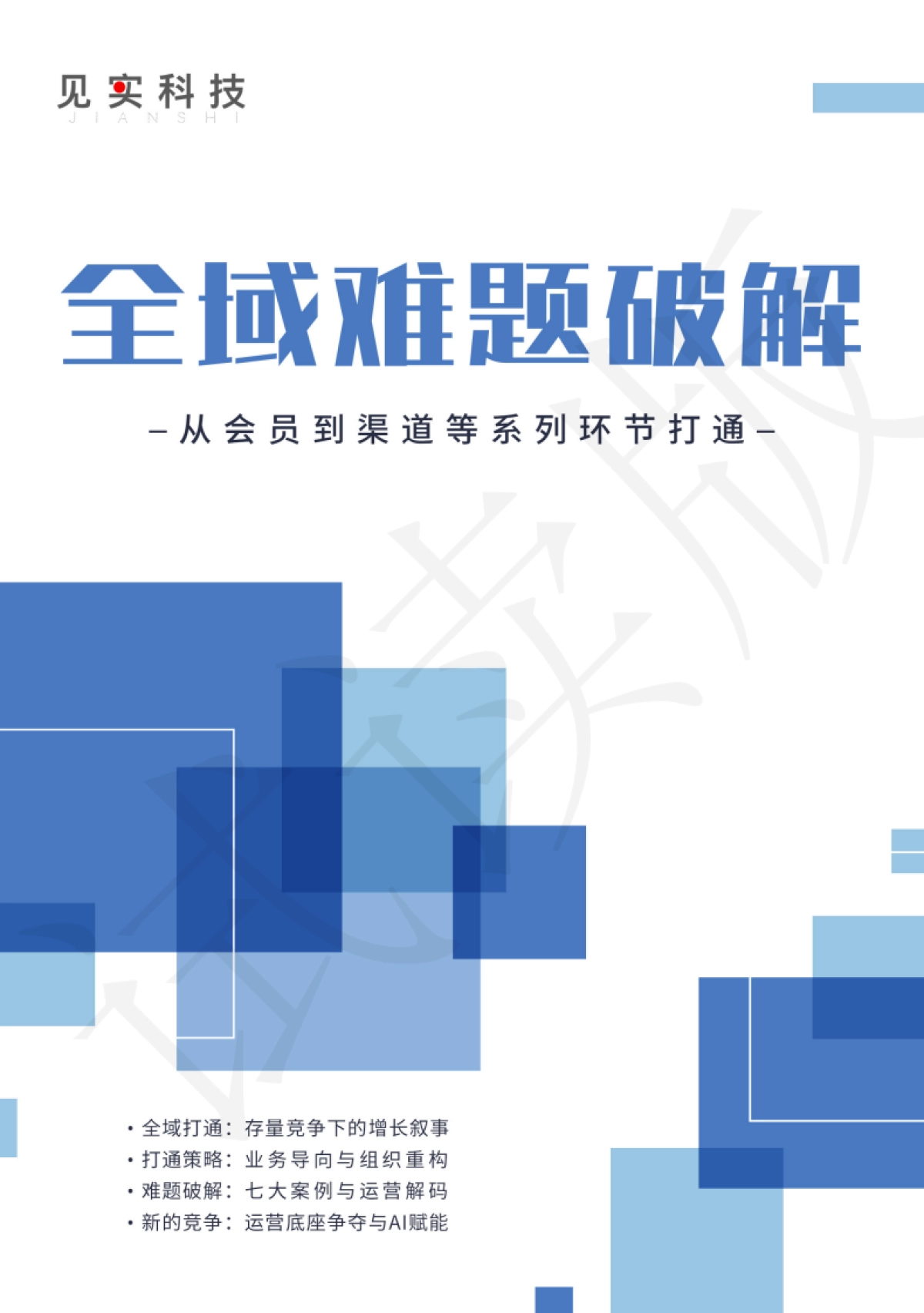 见实科技：全域难题破解：从会员到渠道等系列环节打通_第1页