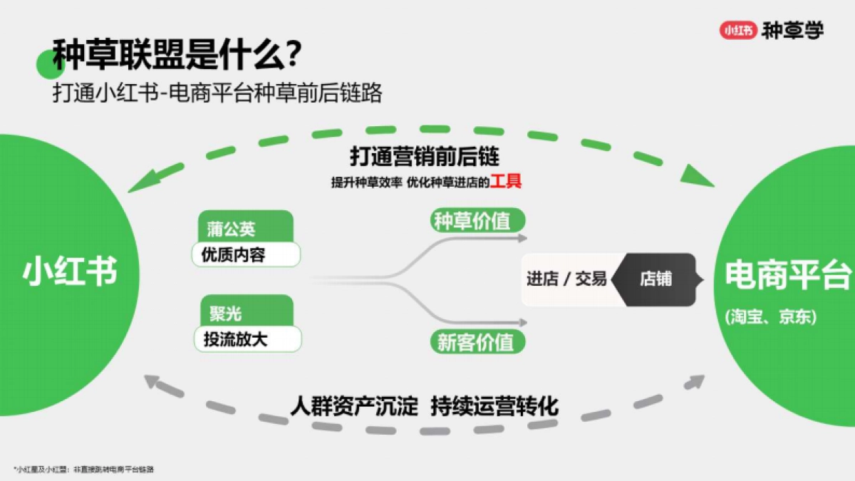 小红书:小红书种草联盟:助力双11全域生意增长_第6页