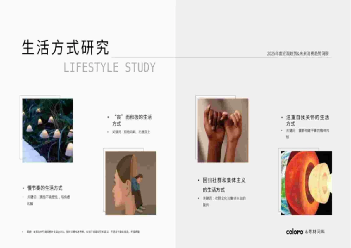 寻材问料&COLORO&万辉涂料:2025CMF流行趋势白皮书_第6页