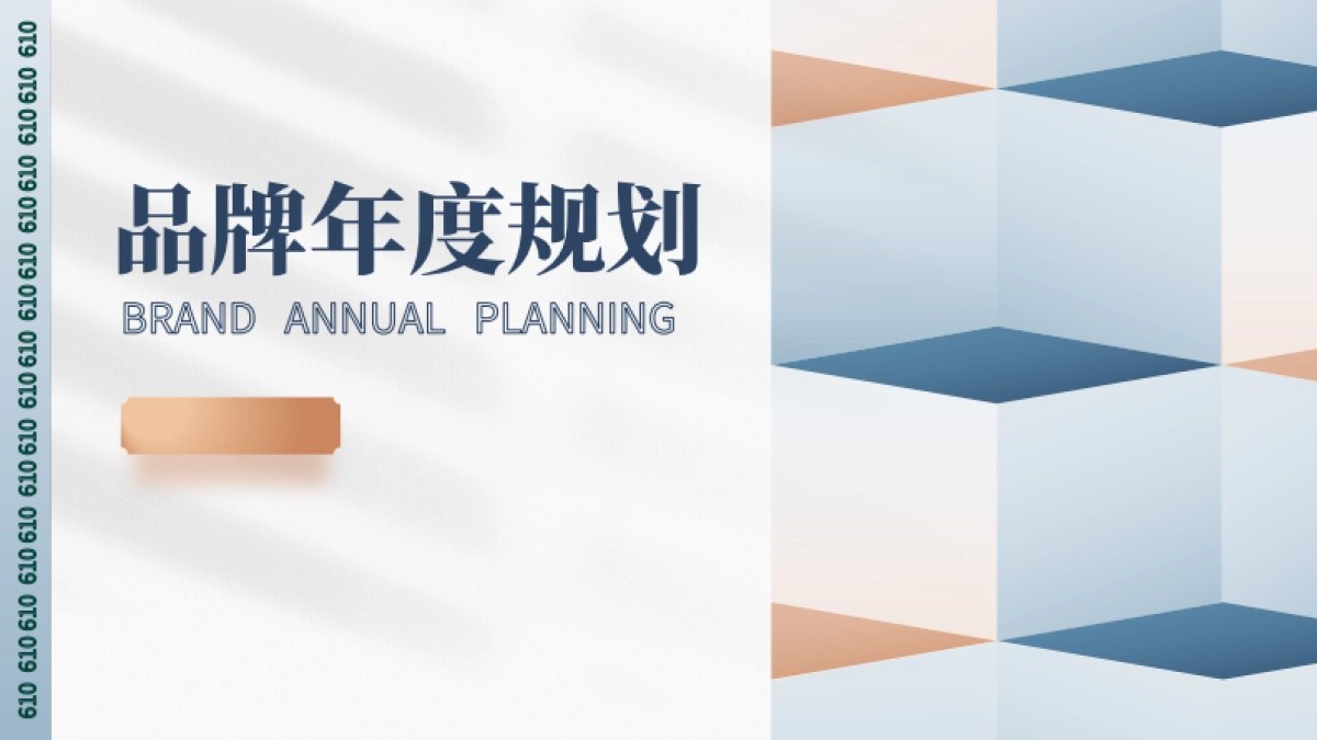 《品牌年度规划》框架模板_第1页