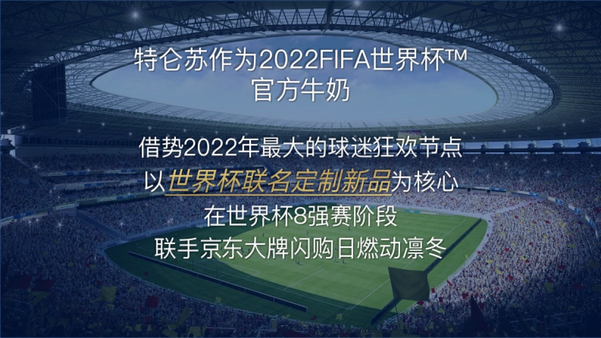 特仑苏大牌闪购日营销方案_第7页