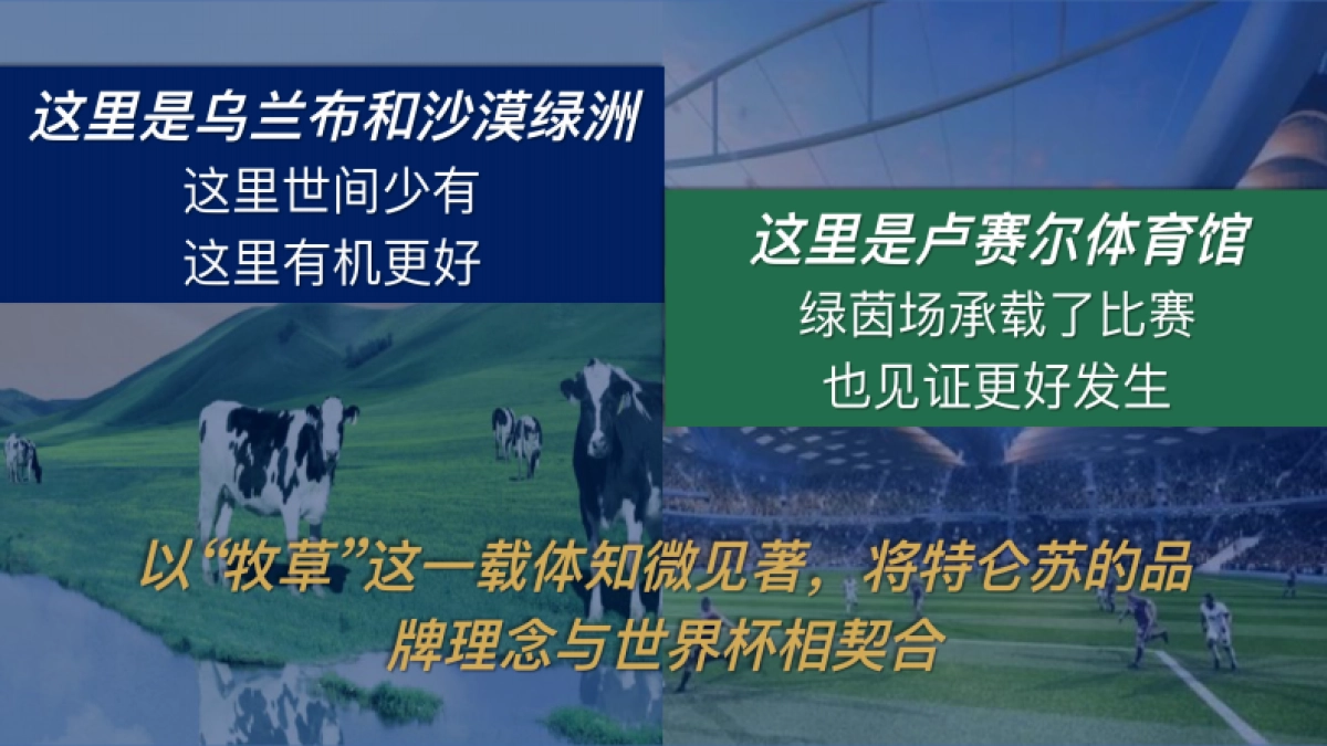 特仑苏大牌闪购日营销方案_第8页