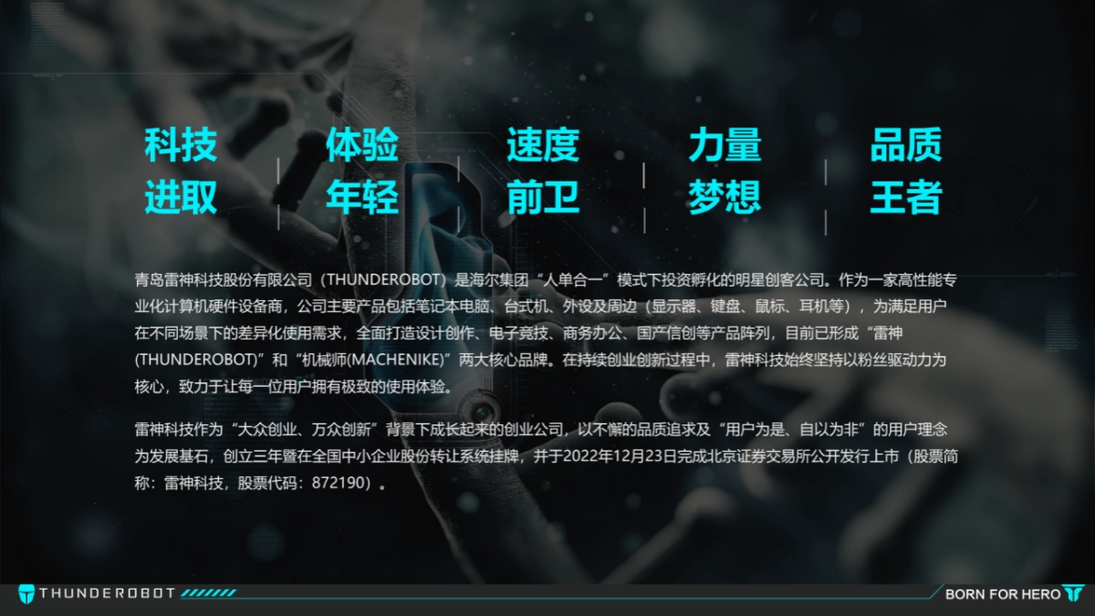 雷神×淄博烧烤节跨界合作方案_第2页