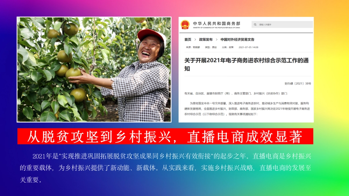 贵州乡村振兴直播电商节策划书_第5页