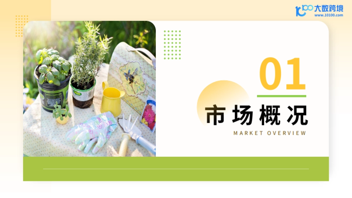 大数据跨境：2024全球园艺工具市场洞察报告_第4页