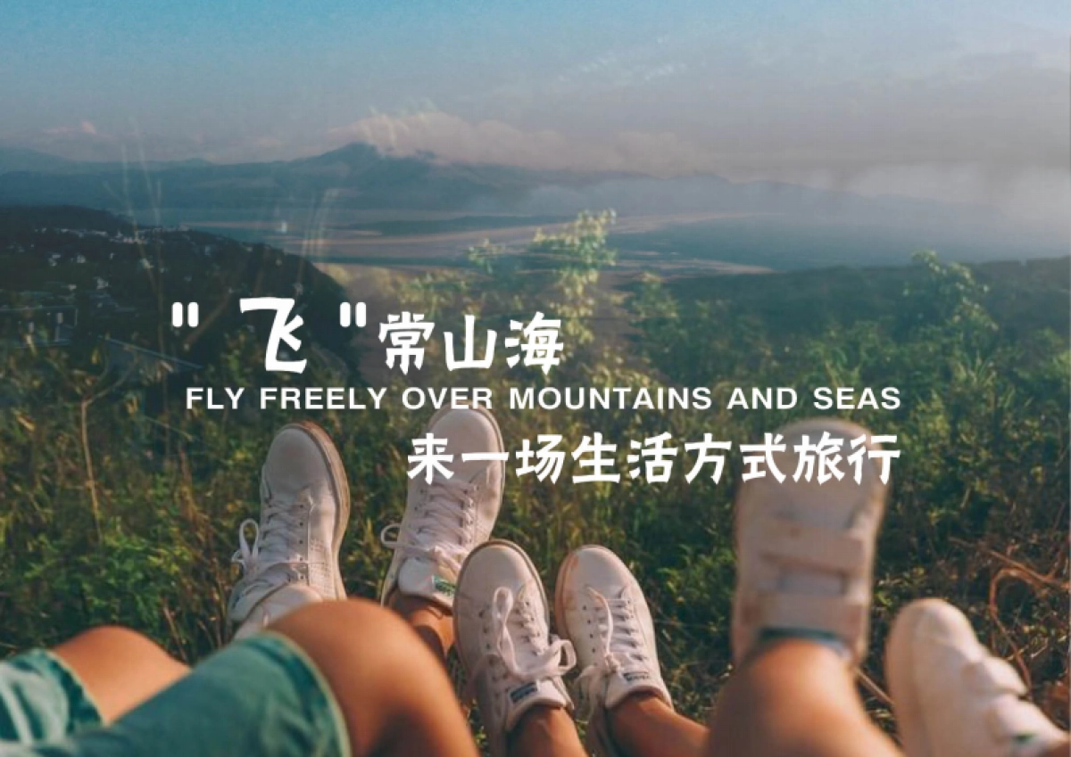 南方城市滨海渔村乡村振兴文旅项目定位规划方案_第2页