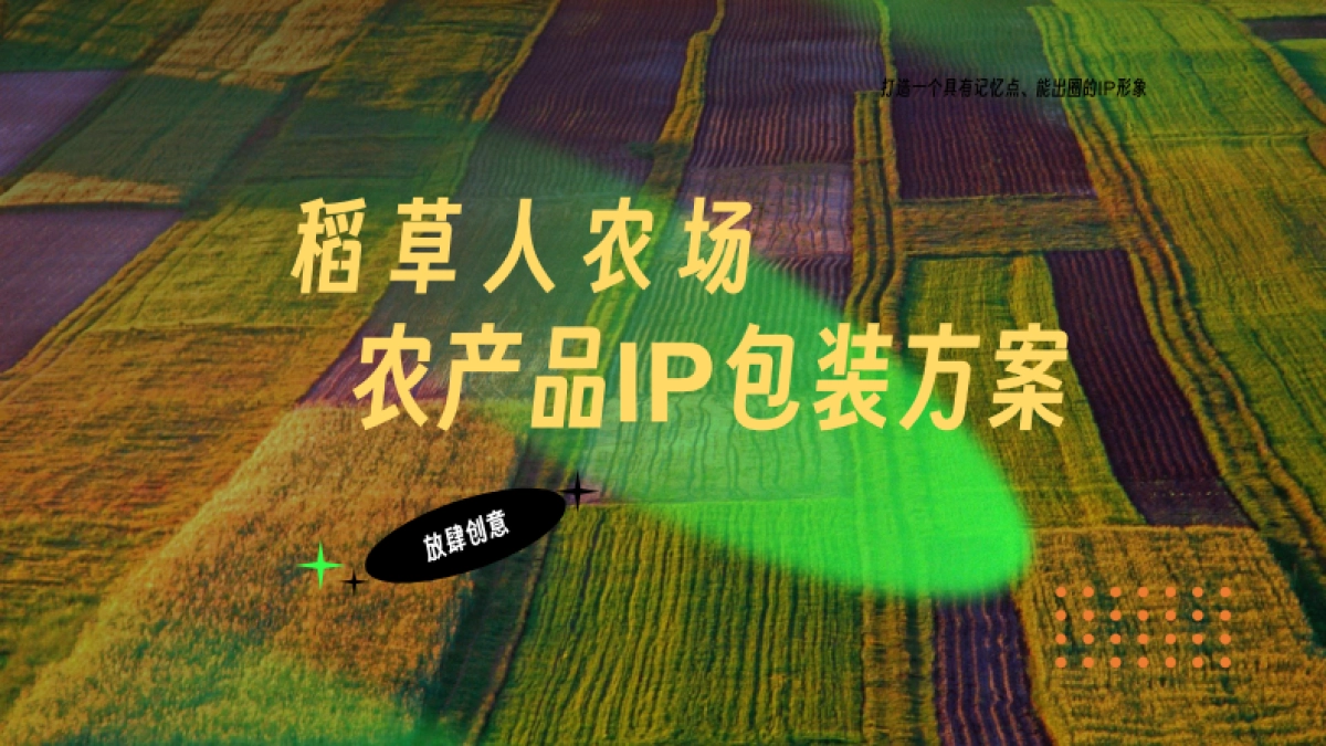 稻草人农场推广包装思考_第1页