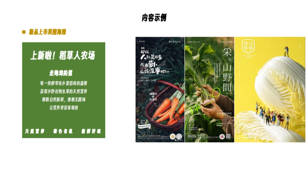 稻草人农场推广包装思考_第6页