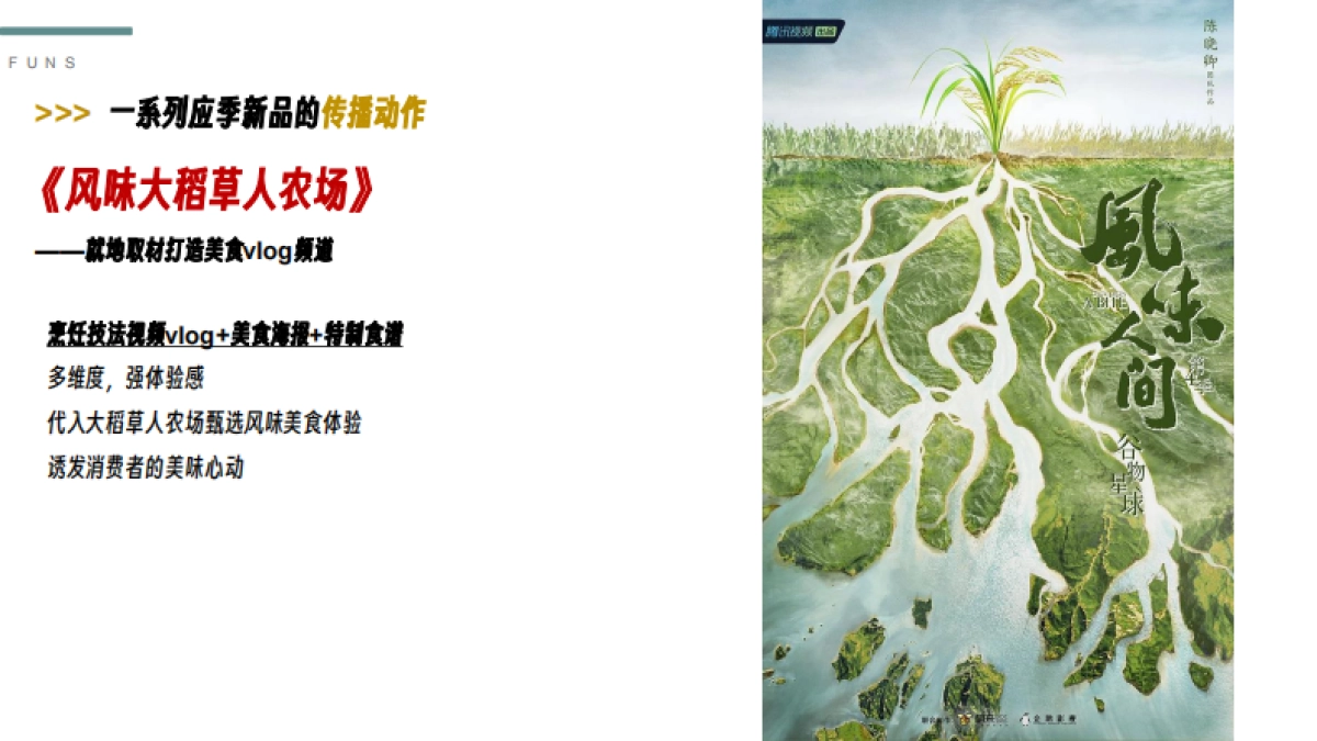 稻草人农场推广包装思考_第8页