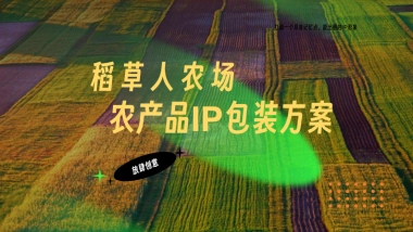 稻草人农场推广包装思考