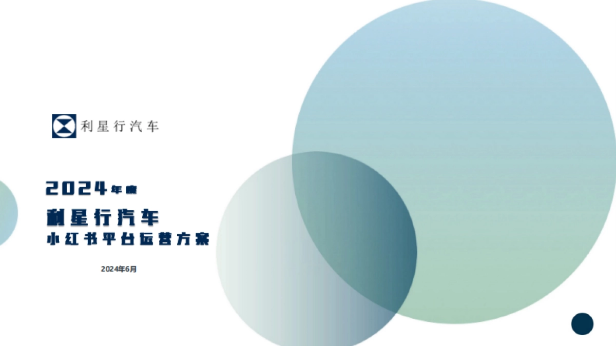 2024年利星行小红书平台运营方案_第1页