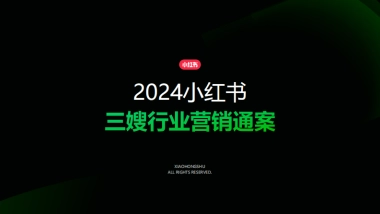 2024小红书三嫂行业营销通案