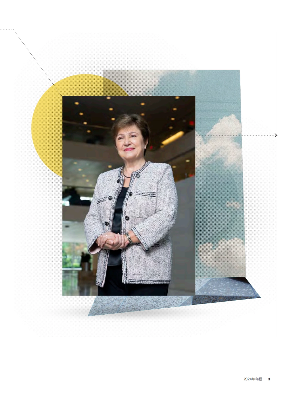 IMF：2024年年报-面对变化保持韧性_第5页