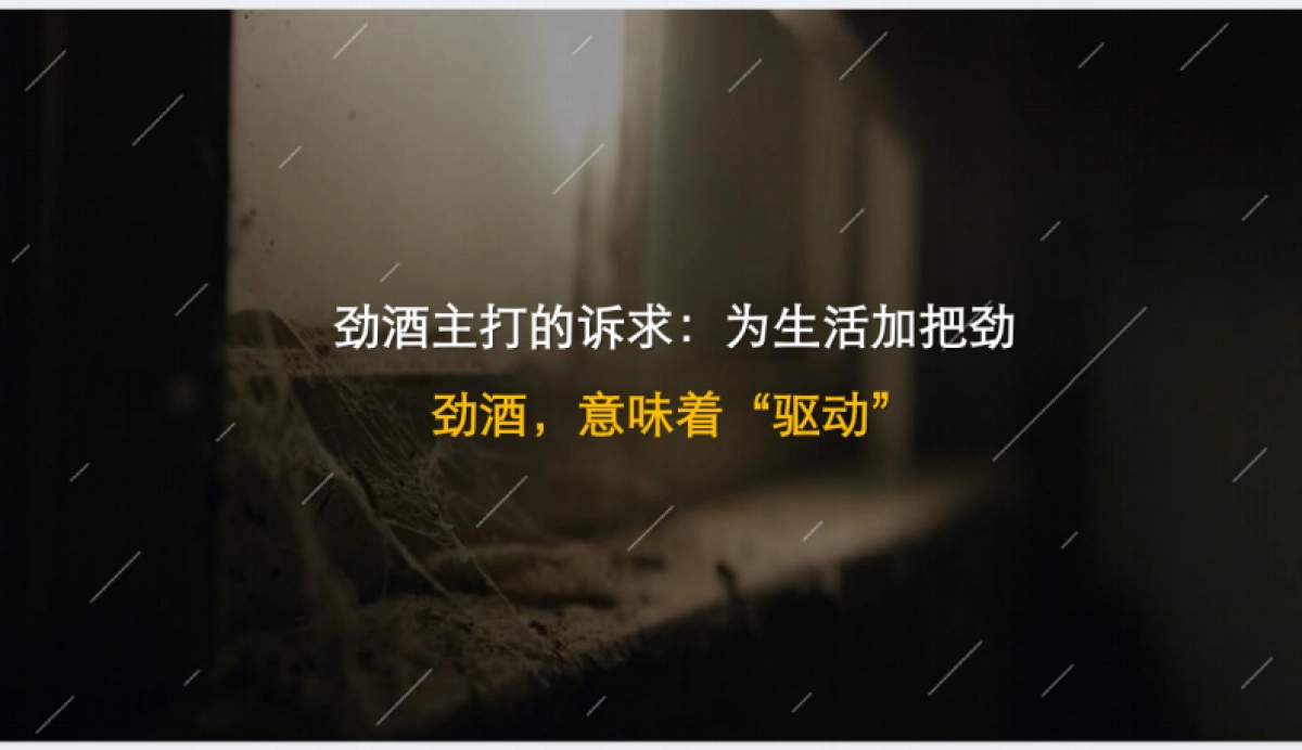 劲酒宣传片影视方案_第3页