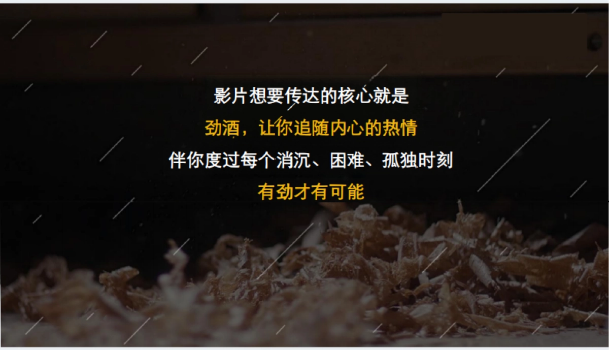 劲酒宣传片影视方案_第6页