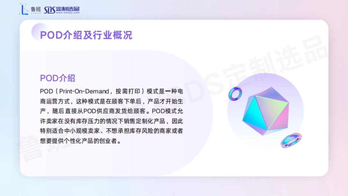 鲁班&SDS定制选品：2024POD出海营销增长指南_第5页