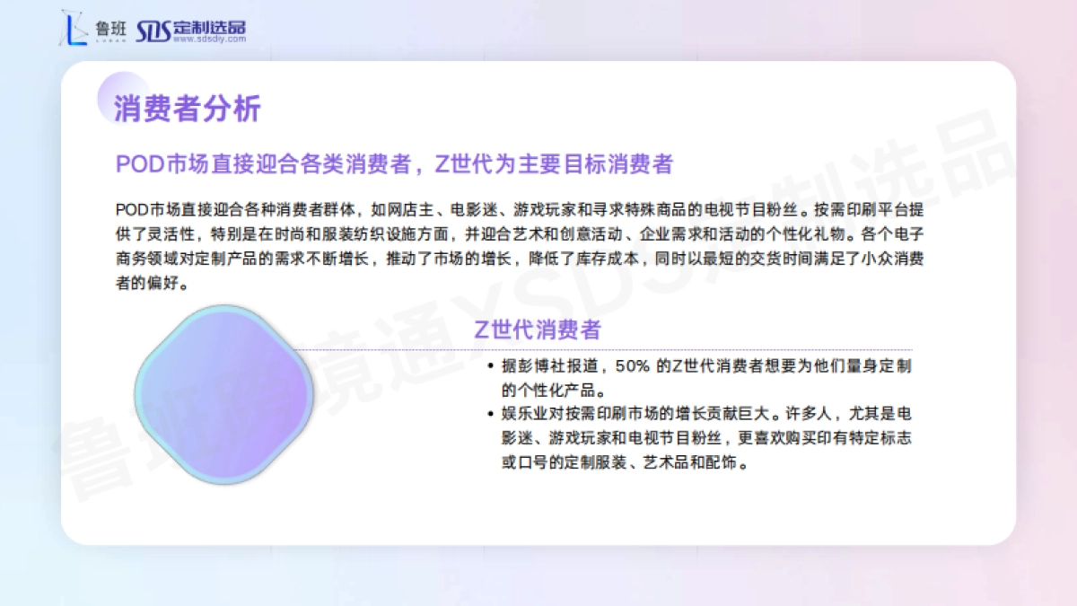 鲁班&SDS定制选品：2024POD出海营销增长指南_第8页