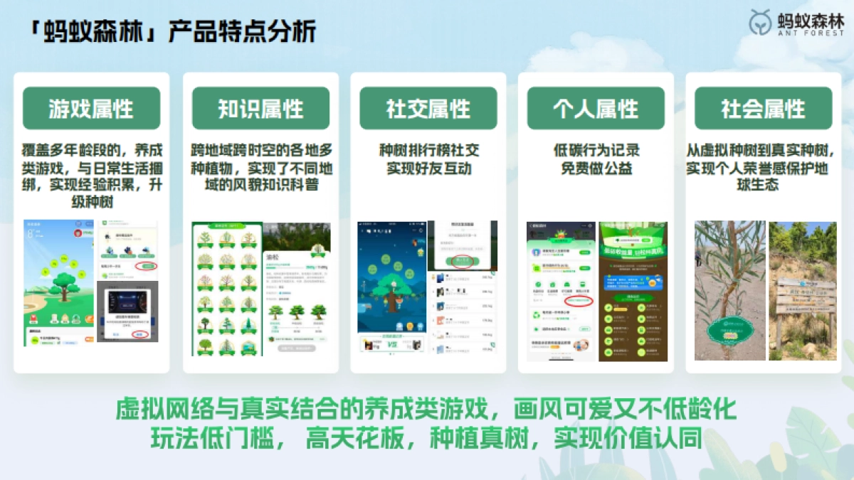 蚂蚁森林：2024蚂蚁森林抖音小红书代运营方案_第8页