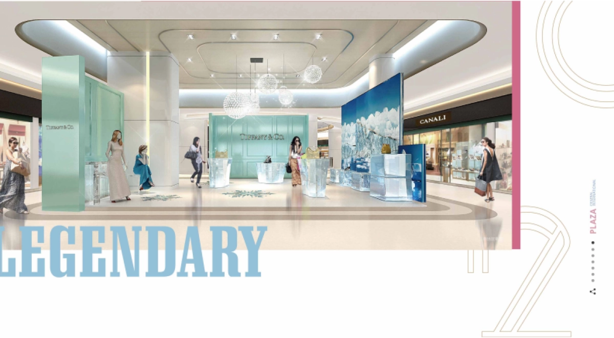 南京C12购物中心招商手册_第8页