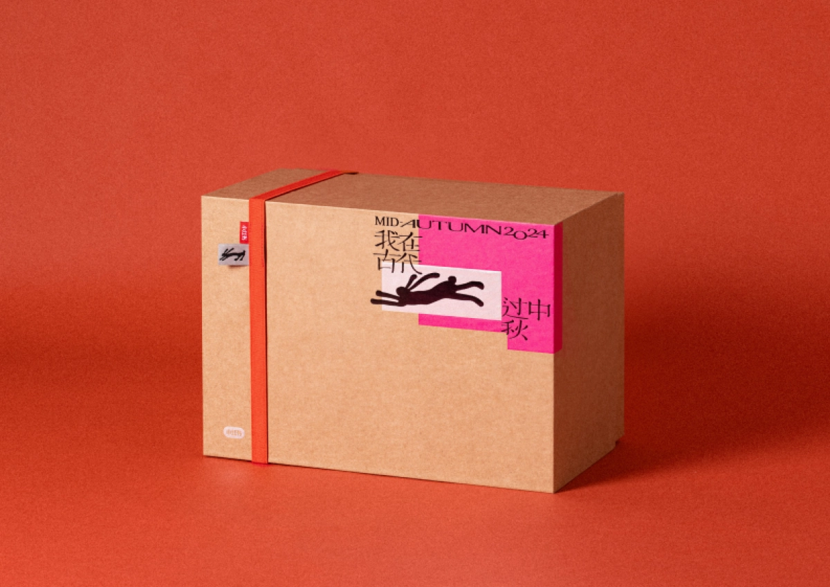 小红书礼盒2024年_第9页