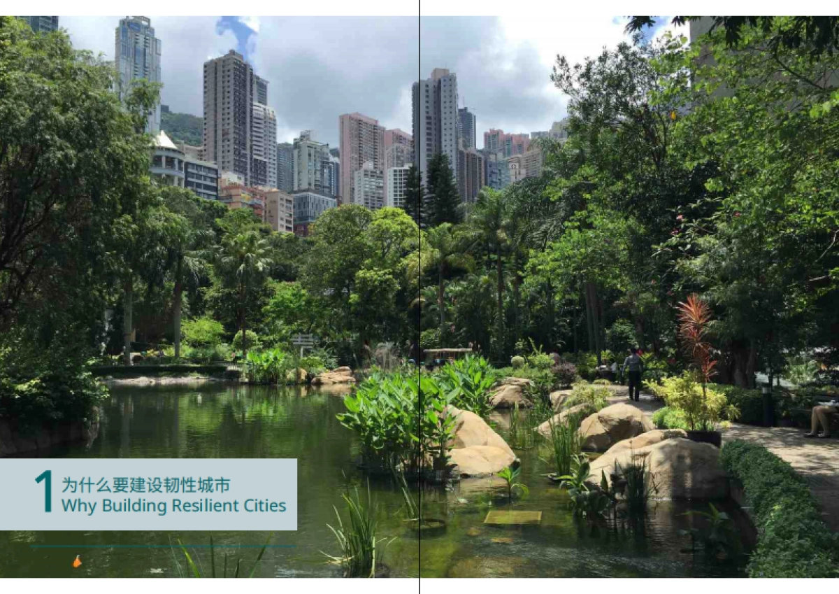 宜可城：中国韧性城市发展报告_第5页