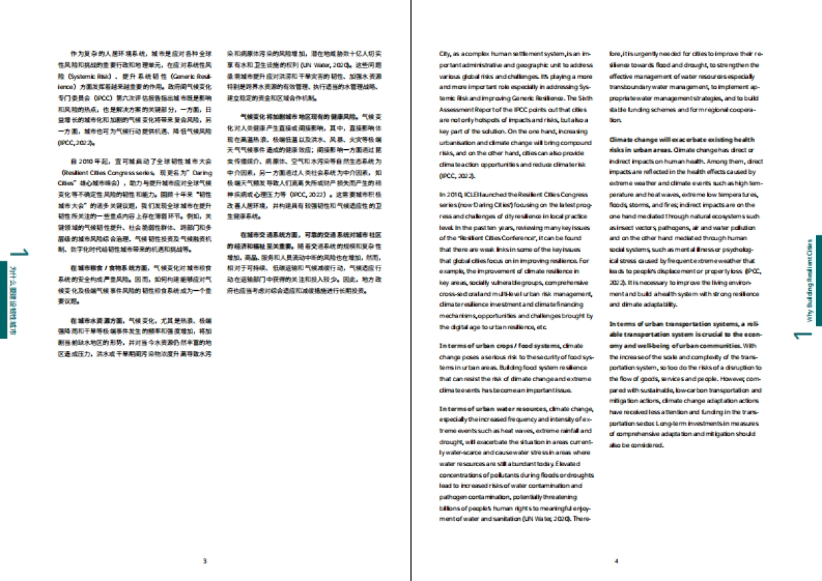 宜可城：中国韧性城市发展报告_第6页