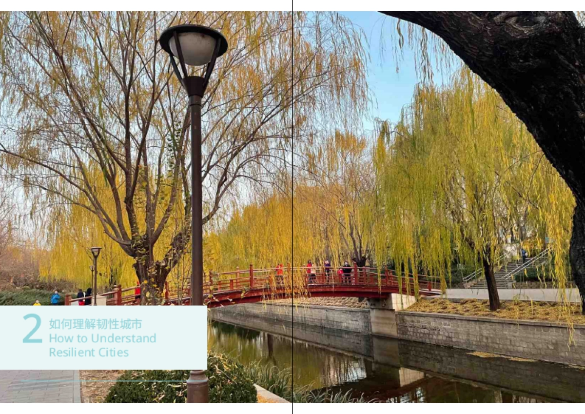 宜可城：中国韧性城市发展报告_第8页