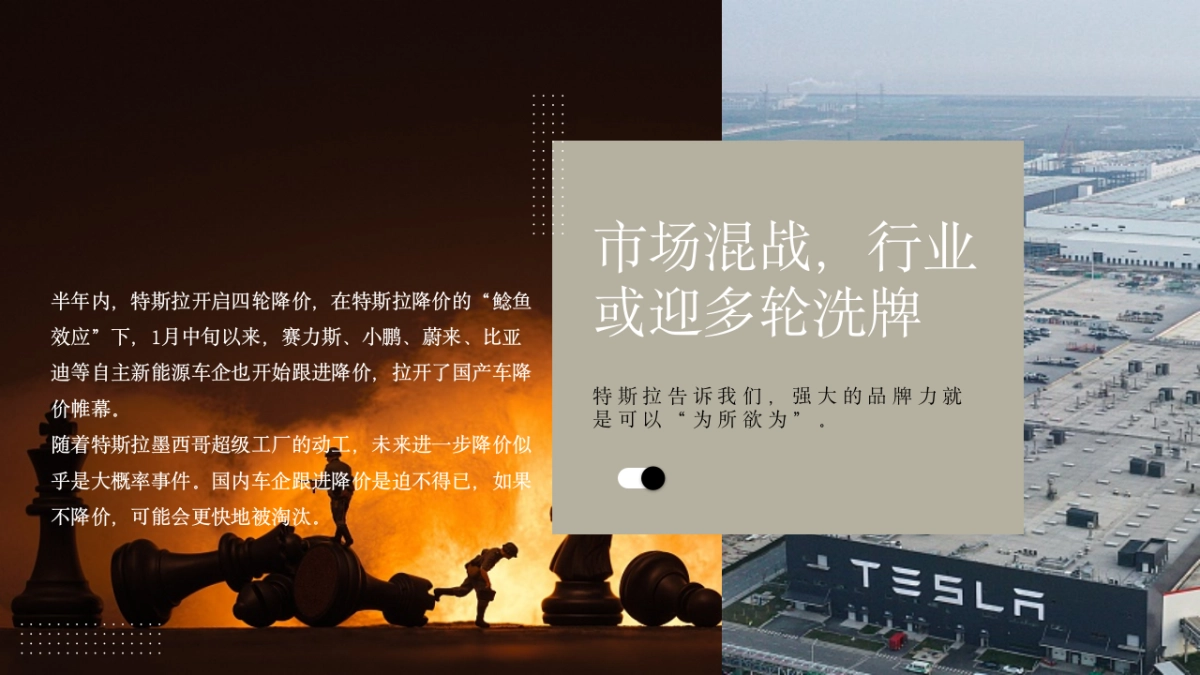 阿维塔年度公关方案_第9页