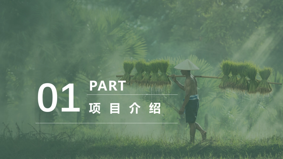 乡村振兴文旅项目:幸福文旅全年运营思路_第3页