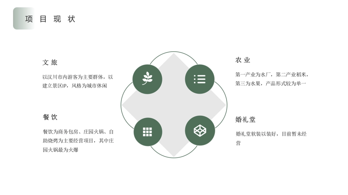 乡村振兴文旅项目:幸福文旅全年运营思路_第5页