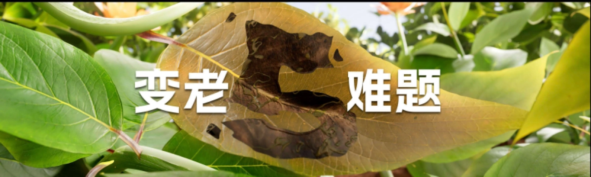 刘润年度演讲2024：进化的力量-3_第7页