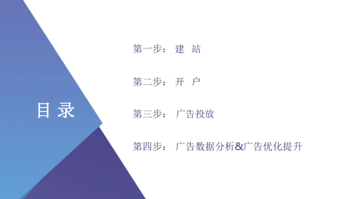 2024年跨境电商独立站入门白皮书_第2页