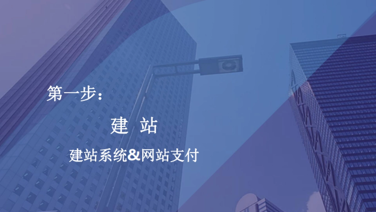2024年跨境电商独立站入门白皮书_第3页
