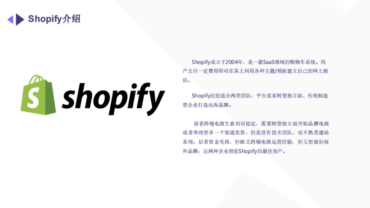 2024年跨境电商独立站入门白皮书_第4页