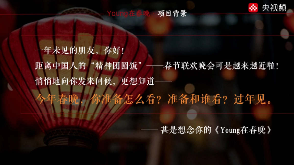 2025《Young在春晚》招商方案_第2页