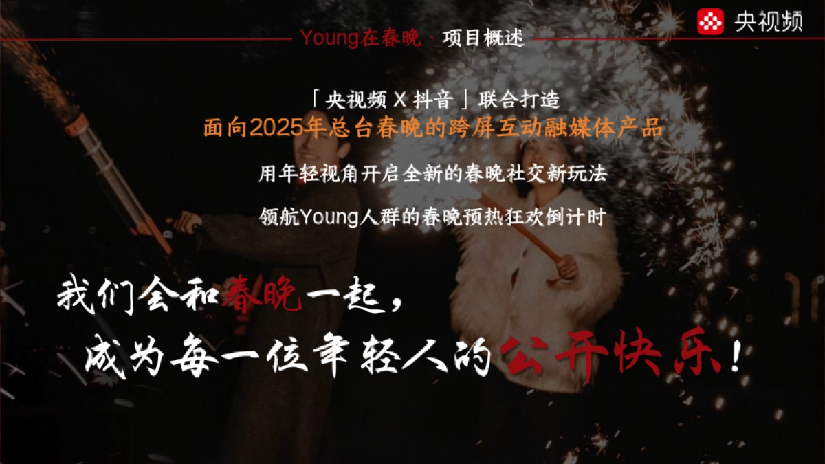 2025《Young在春晚》招商方案_第4页
