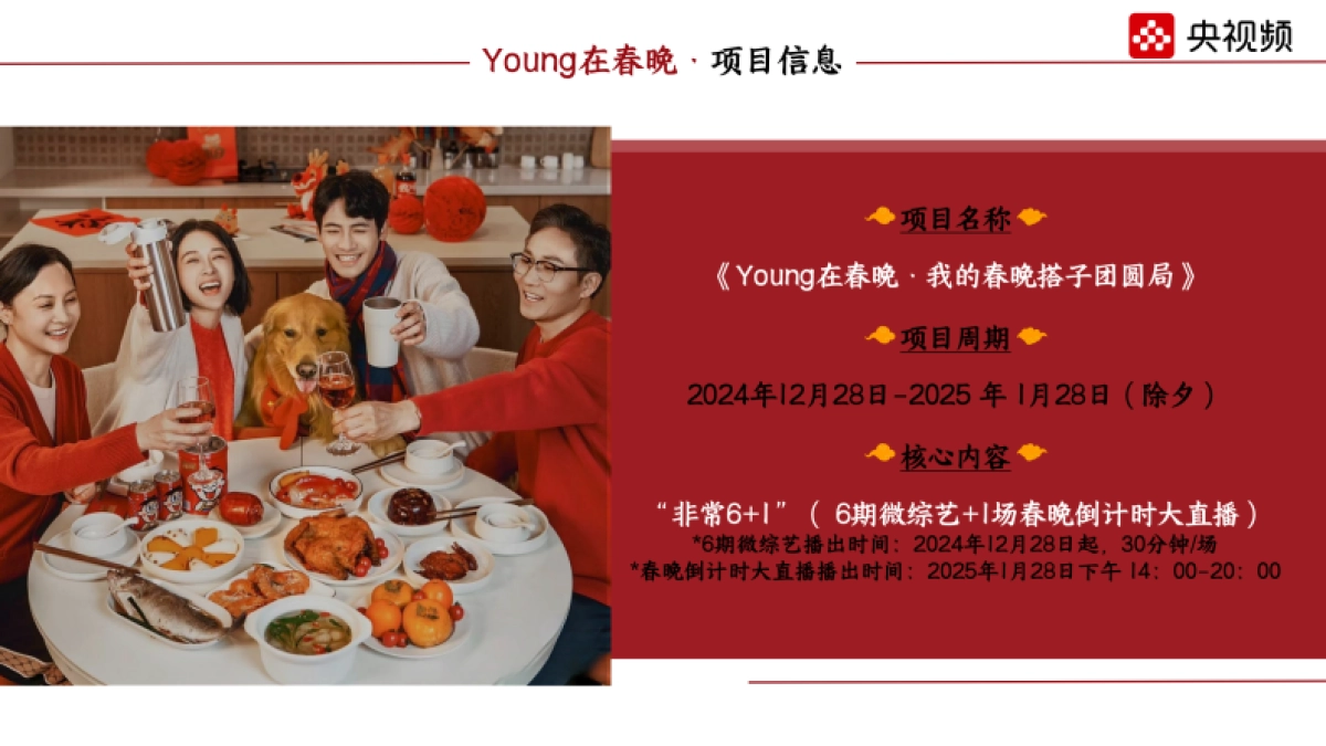 2025《Young在春晚》招商方案_第5页