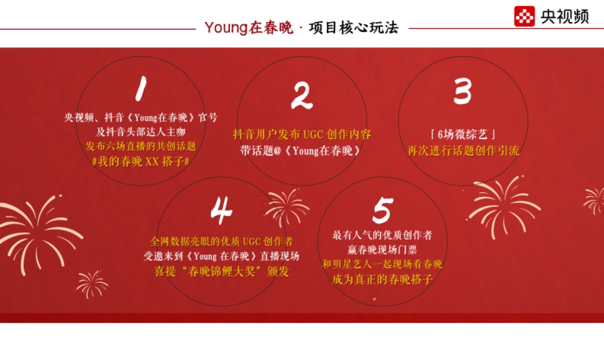 2025《Young在春晚》招商方案_第9页