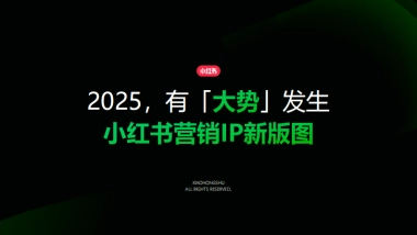 2025小红书IP通案-节点营销