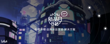 bilibili品牌新品营销解决方案