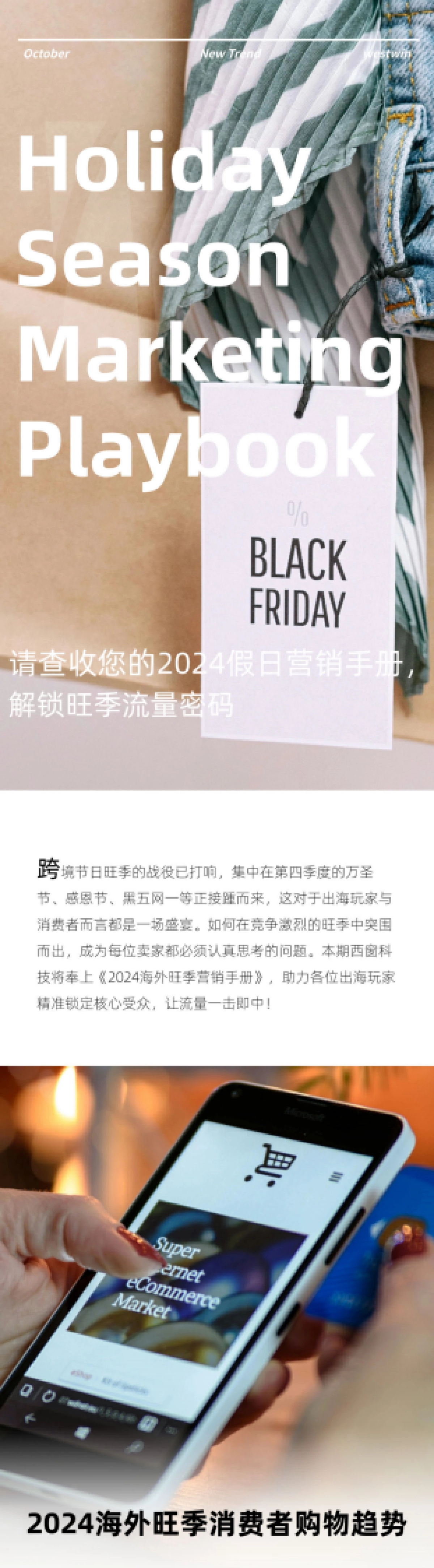 Westwin：2024年海外旺季消费者购物趋势报告_第1页