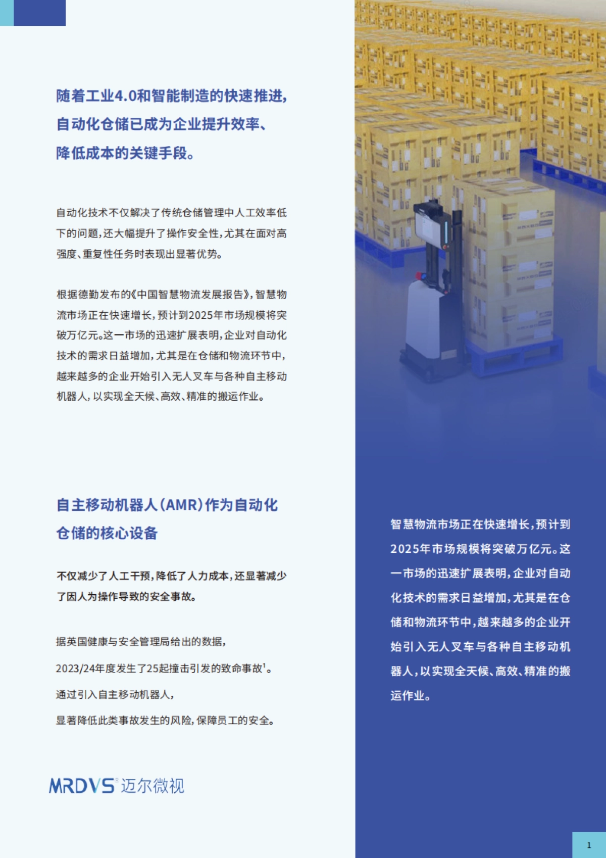 迈尔微视：2024从人工搬运到智能搬运：托盘识别技术引领高效物流_第2页