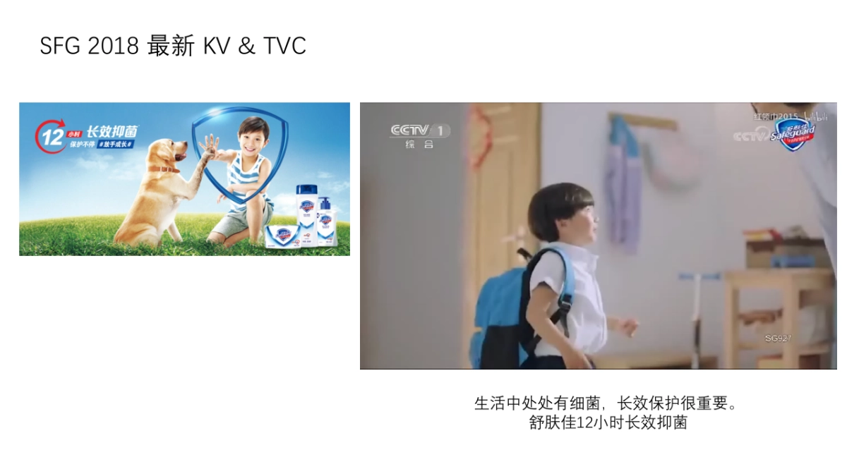 【Preliminary Research】SFG NEW AMBASSADOR SOCIAL MAXIMIZATION_第5页