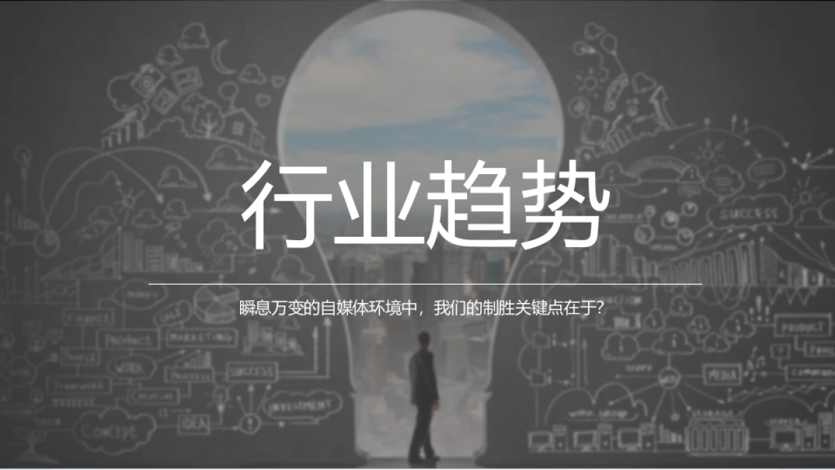 2016统帅年度自媒体双微运维方案_第7页