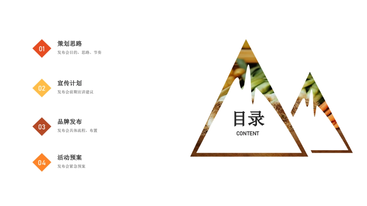 2018嫩菜全国品牌发布会（新时代，新模式，新生态主题）活动策划方案_第3页