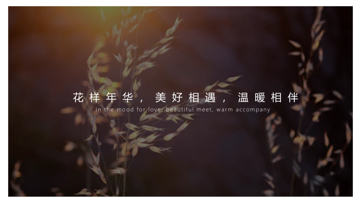 2019地产项目武汉区域品牌发布会（总有温暖相伴主题）活动策划方案_第6页