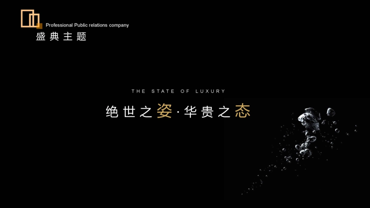 2019新品发布暨年会盛典_第5页